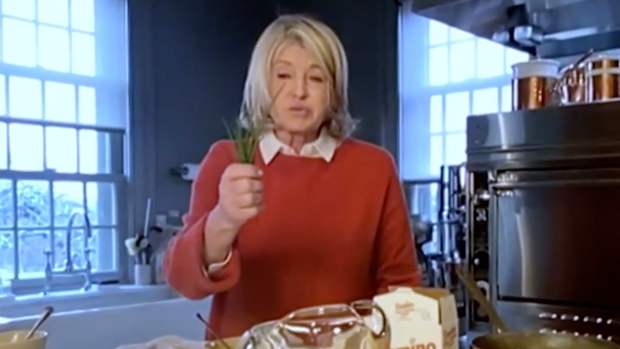 martha-stewart-today